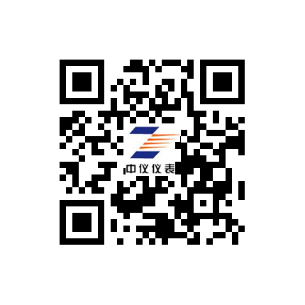 江苏中仪仪表集团有限公司